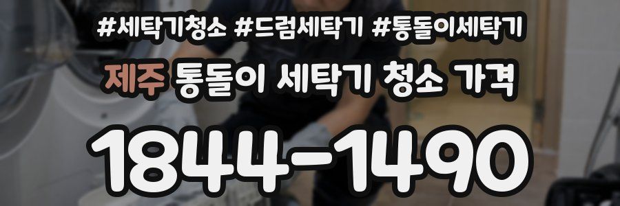 제주 통돌이 세탁기 청소 가격