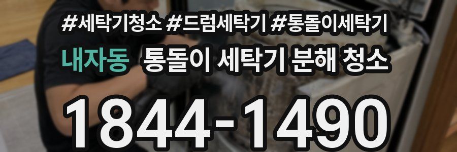 내자동 통돌이 세탁기 분해 청소