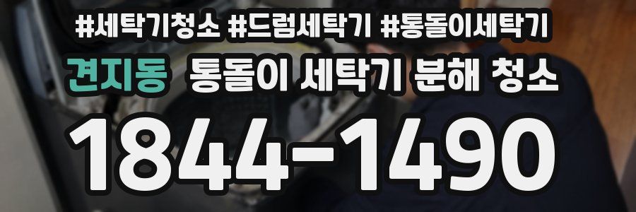 견지동 통돌이 세탁기 분해 청소