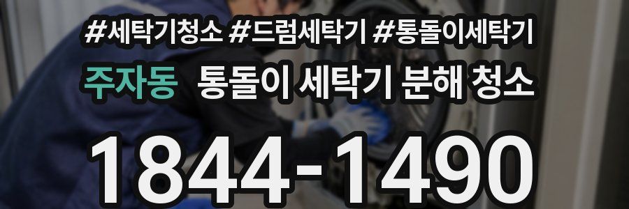 주자동 통돌이 세탁기 분해 청소