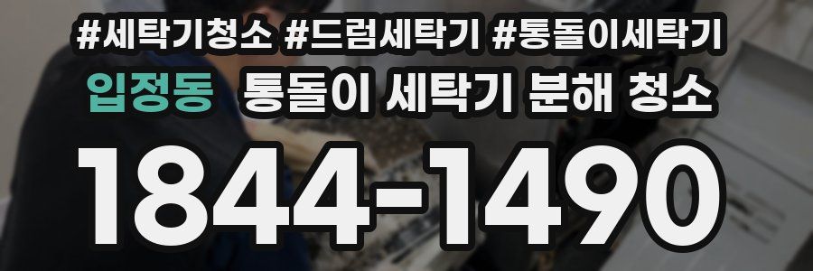 입정동 통돌이 세탁기 분해 청소