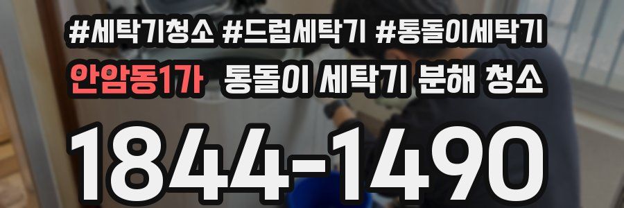 안암동1가 통돌이 세탁기 분해 청소
