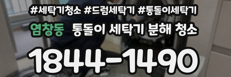 염창동 통돌이 세탁기 분해 청소