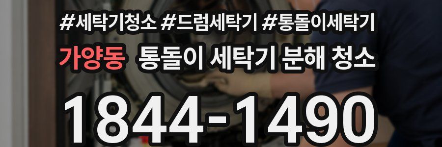 가양동 통돌이 세탁기 분해 청소