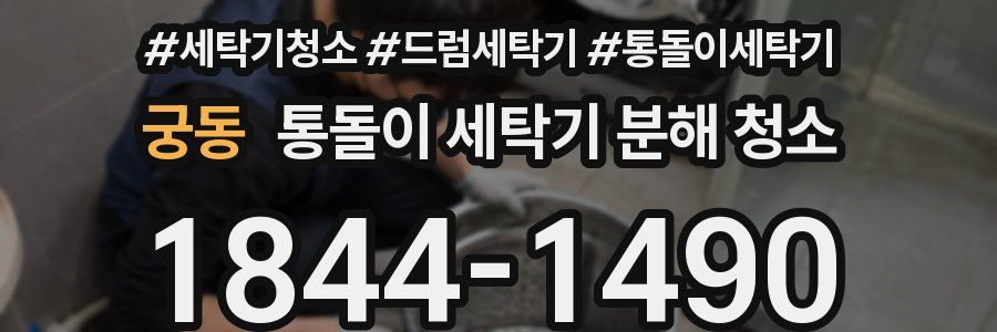 궁동 통돌이 세탁기 분해 청소