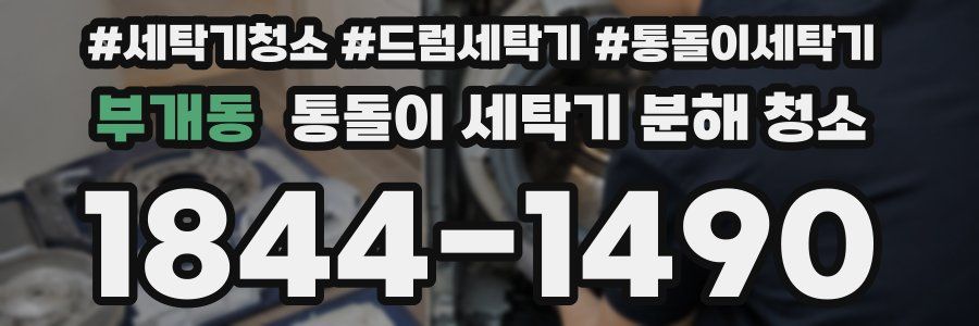 부개동 통돌이 세탁기 분해 청소