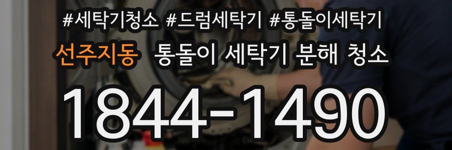 선주지동 통돌이 세탁기 분해 청소