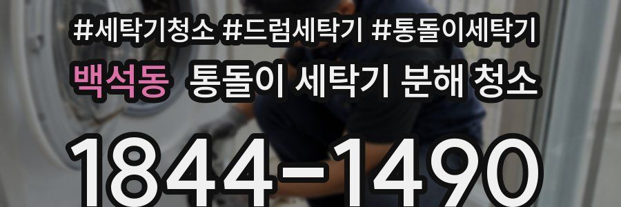백석동 통돌이 세탁기 분해 청소