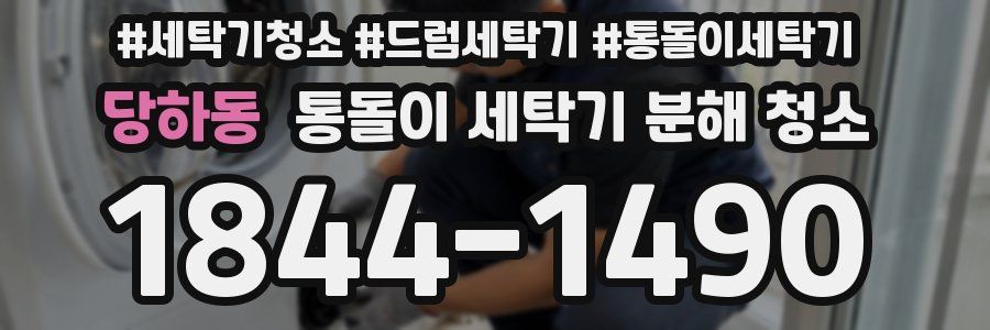 당하동 통돌이 세탁기 분해 청소