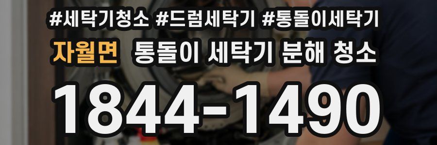 자월면 통돌이 세탁기 분해 청소
