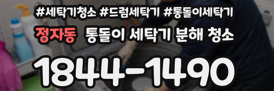 정자동 통돌이 세탁기 분해 청소