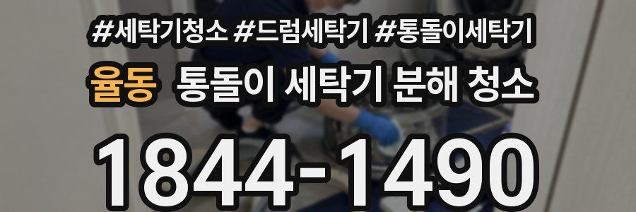 율동 통돌이 세탁기 분해 청소