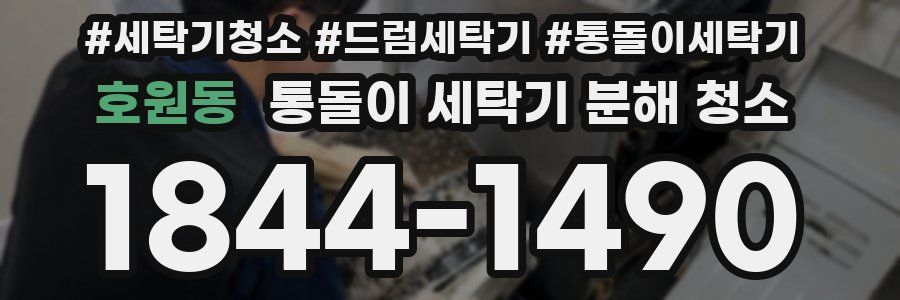 호원동 통돌이 세탁기 분해 청소
