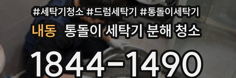 내동 통돌이 세탁기 분해 청소