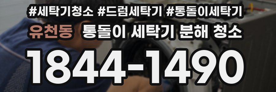 유천동 통돌이 세탁기 분해 청소