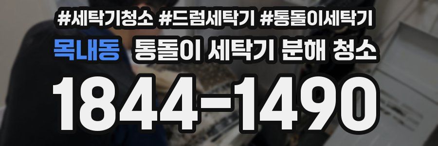 목내동 통돌이 세탁기 분해 청소