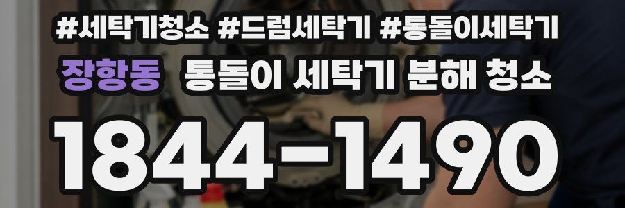 장항동 통돌이 세탁기 분해 청소