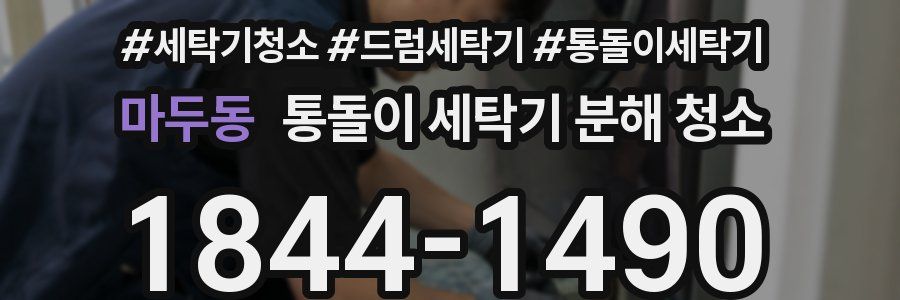 마두동 통돌이 세탁기 분해 청소