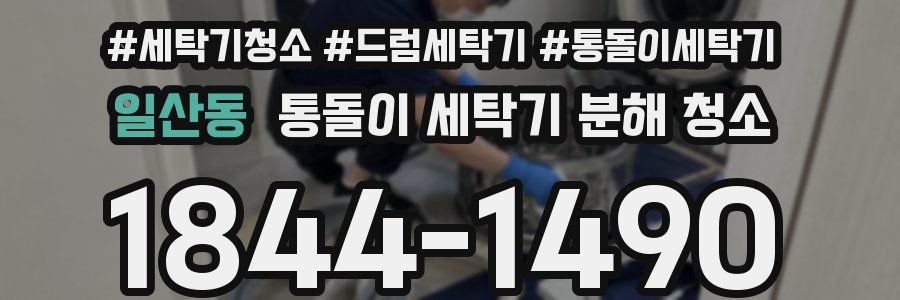 일산동 통돌이 세탁기 분해 청소