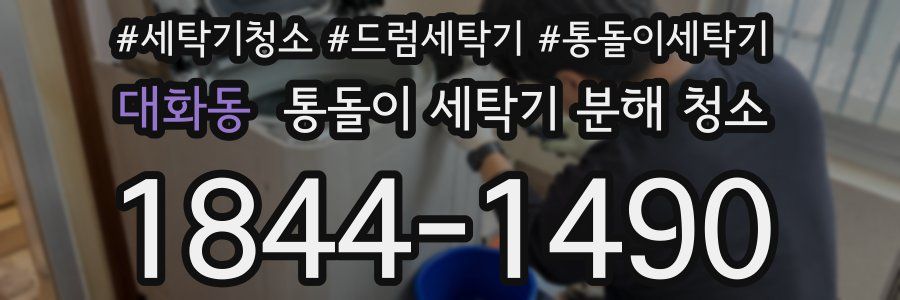 대화동 통돌이 세탁기 분해 청소
