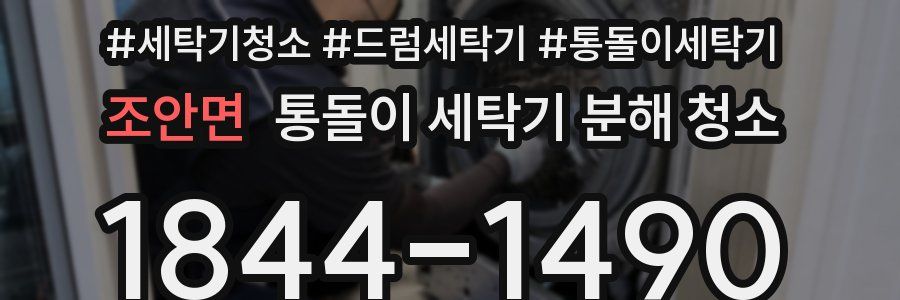 조안면 통돌이 세탁기 분해 청소