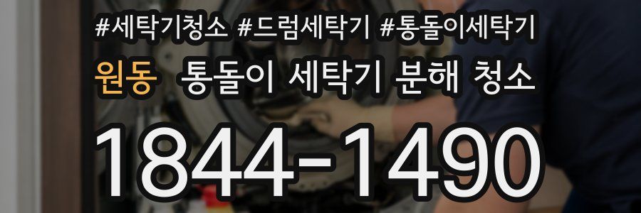 원동 통돌이 세탁기 분해 청소