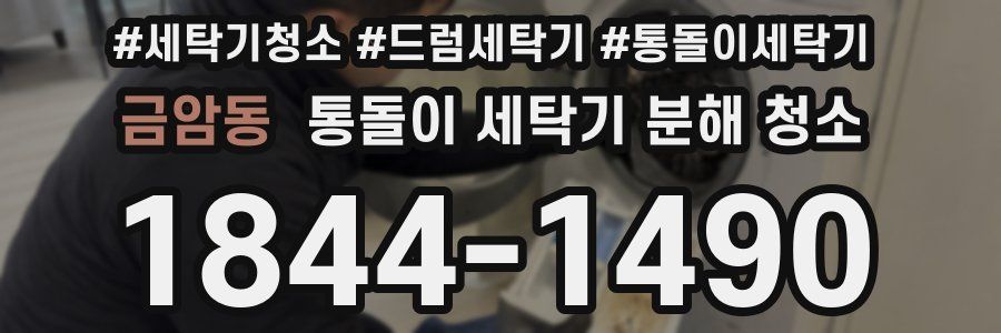 금암동 통돌이 세탁기 분해 청소
