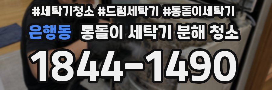 은행동 통돌이 세탁기 분해 청소