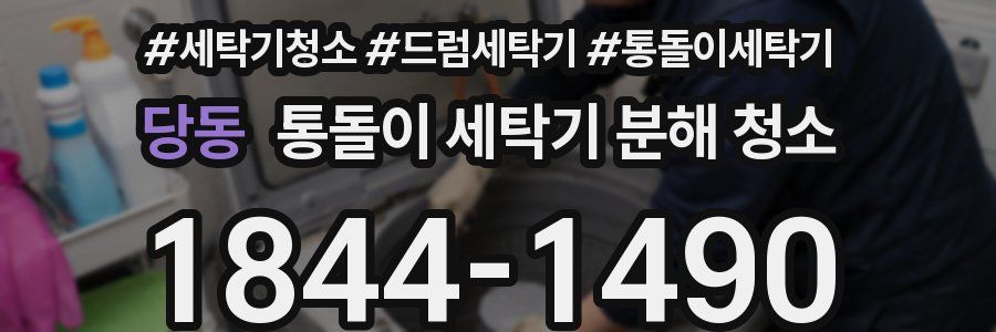 당동 통돌이 세탁기 분해 청소