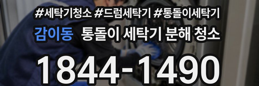 감이동 통돌이 세탁기 분해 청소
