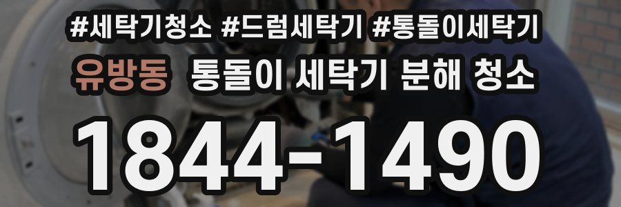 유방동 통돌이 세탁기 분해 청소