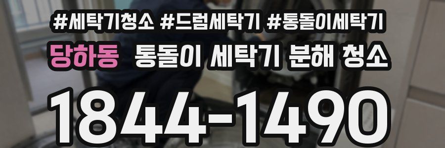 당하동 통돌이 세탁기 분해 청소