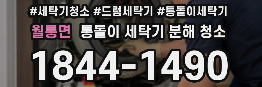 월롱면 통돌이 세탁기 분해 청소