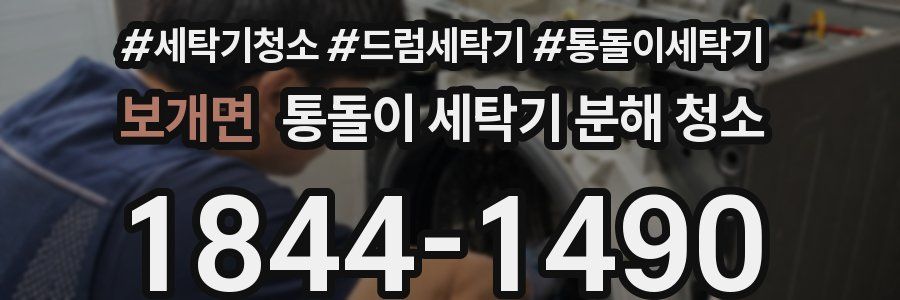 보개면 통돌이 세탁기 분해 청소