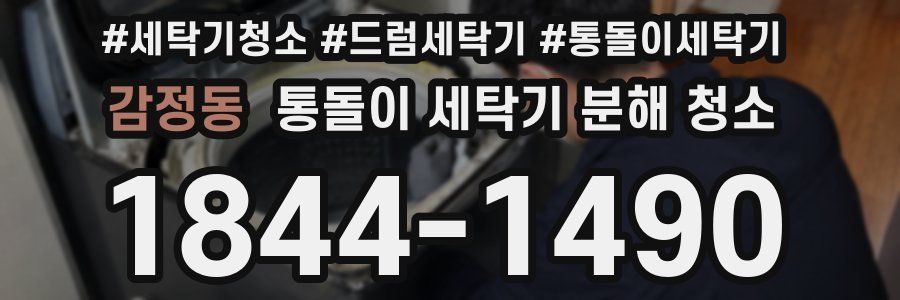 감정동 통돌이 세탁기 분해 청소