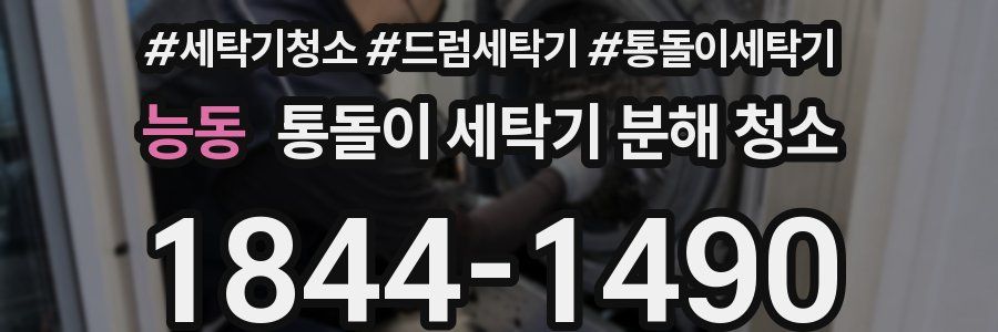 능동 통돌이 세탁기 분해 청소