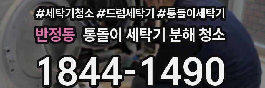 반정동 통돌이 세탁기 분해 청소