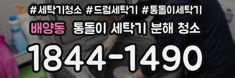 배양동 통돌이 세탁기 분해 청소