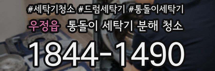 우정읍 통돌이 세탁기 분해 청소