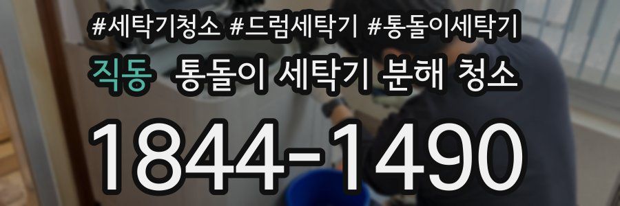직동 통돌이 세탁기 분해 청소