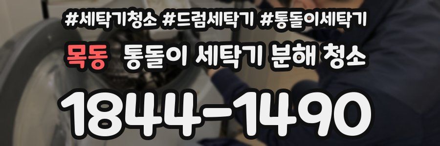 목동 통돌이 세탁기 분해 청소