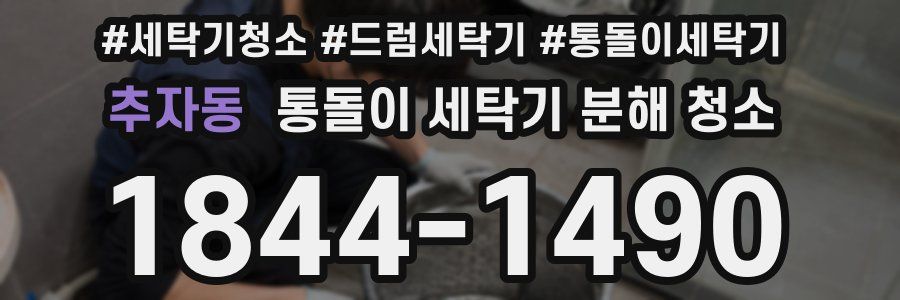 추자동 통돌이 세탁기 분해 청소