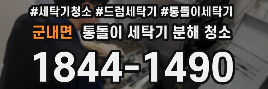 군내면 통돌이 세탁기 분해 청소