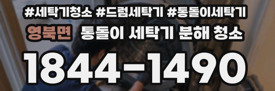 영북면 통돌이 세탁기 분해 청소