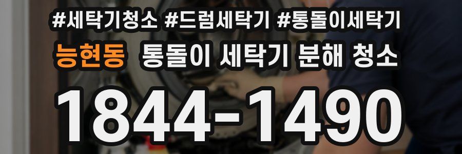 능현동 통돌이 세탁기 분해 청소