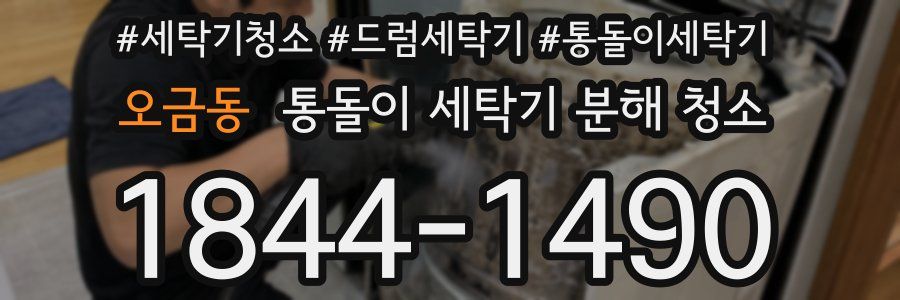 오금동 통돌이 세탁기 분해 청소