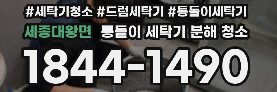 세종대왕면 통돌이 세탁기 분해 청소