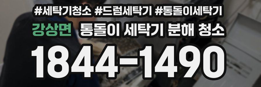 강상면 통돌이 세탁기 분해 청소