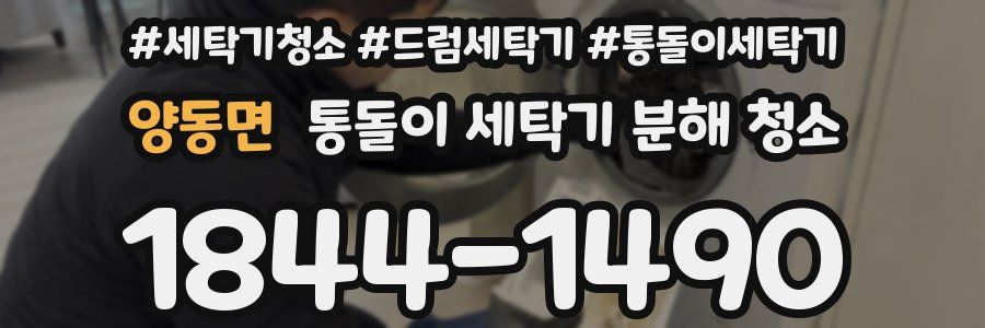 양동면 통돌이 세탁기 분해 청소