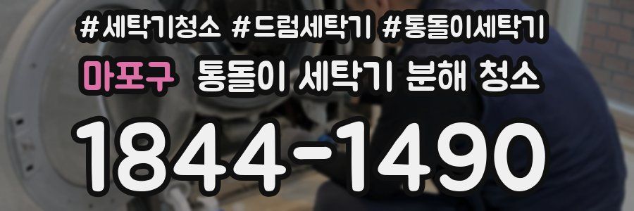 마포구 통돌이 세탁기 분해 청소